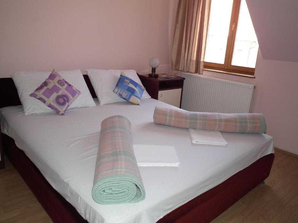 Nasa Tvrdava Guest Accommodation Novi Sad Rum bild