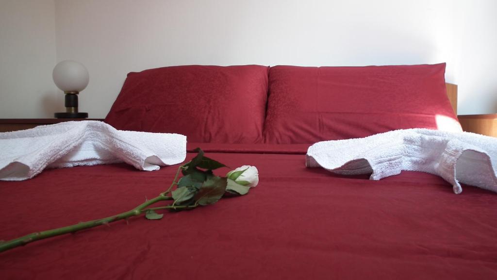 Nasa Tvrdava Guest Accommodation Novi Sad Rum bild
