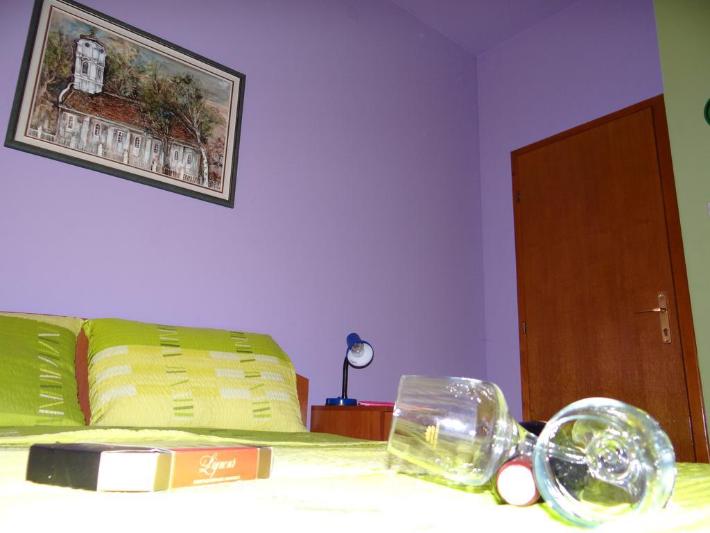 Nasa Tvrdava Guest Accommodation Novi Sad Exteriör bild